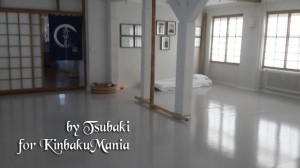 Under my Senseis Guidance1 copy